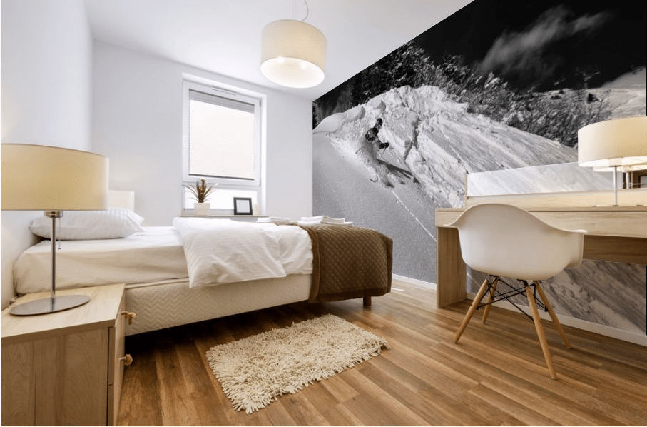 Freeride - Powderaddicts