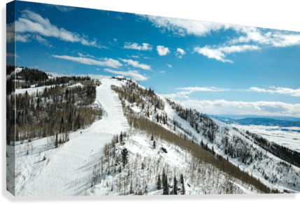 Gondola - Powderaddicts