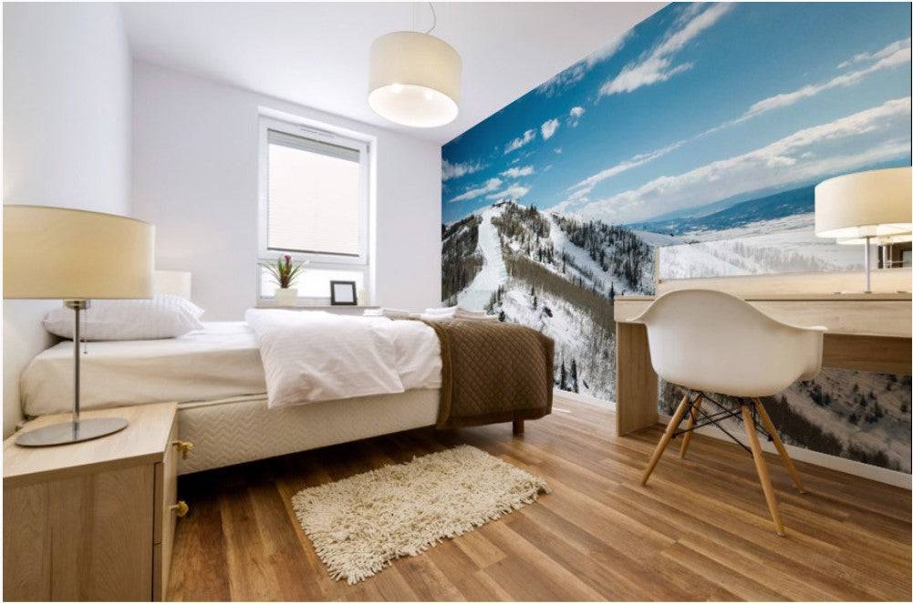 Gondola - Powderaddicts