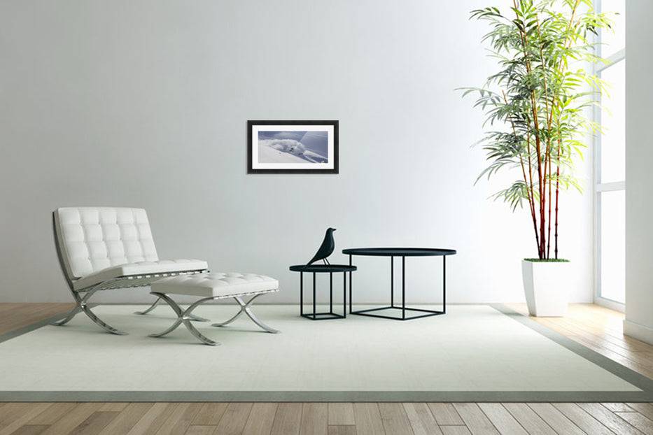 Guiness - Powderaddicts