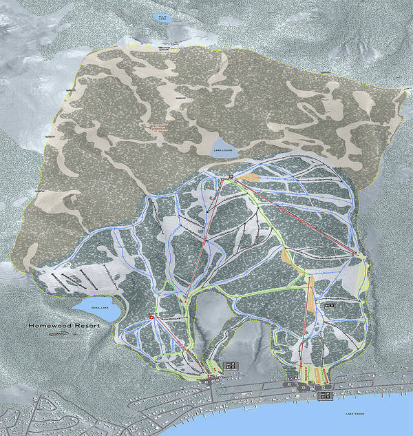 Homewood Ski Trail Map - Art Print - Powderaddicts