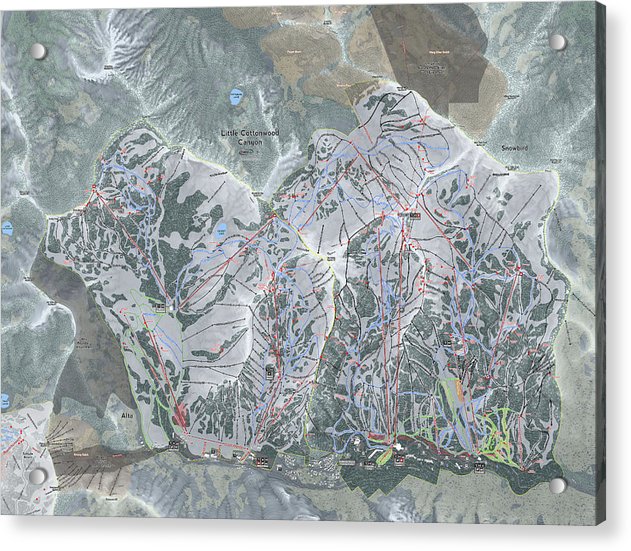 Little Cottonwood Canyon, Utah Ski Trail Map - Acrylic Print - Powderaddicts
