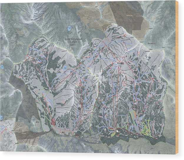 Little Cottonwood Canyon, Utah Ski Trail Map - Wood Print - Powderaddicts