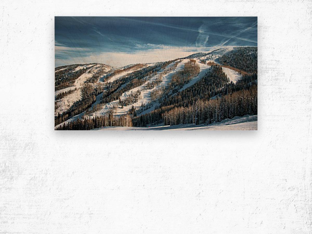 Mid Mountain - Powderaddicts