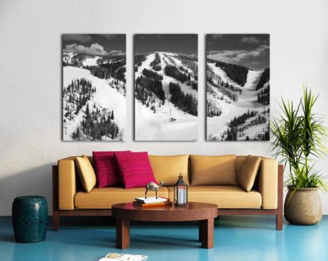 Mid Mountain Mountain Views BW - Powderaddicts