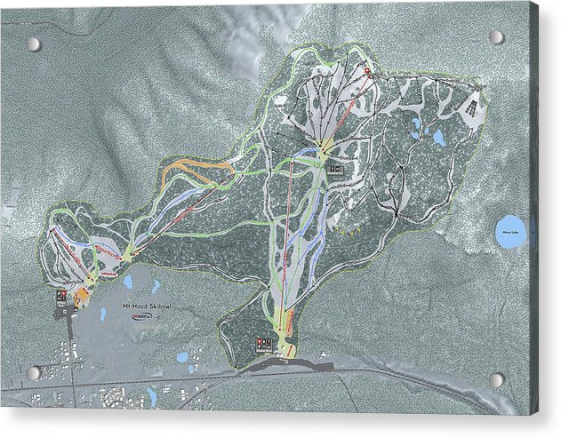Mt Hood Skibowl Ski Trail Map - Acrylic Print - Powderaddicts