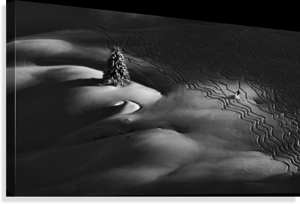 Passing by - Powderaddicts