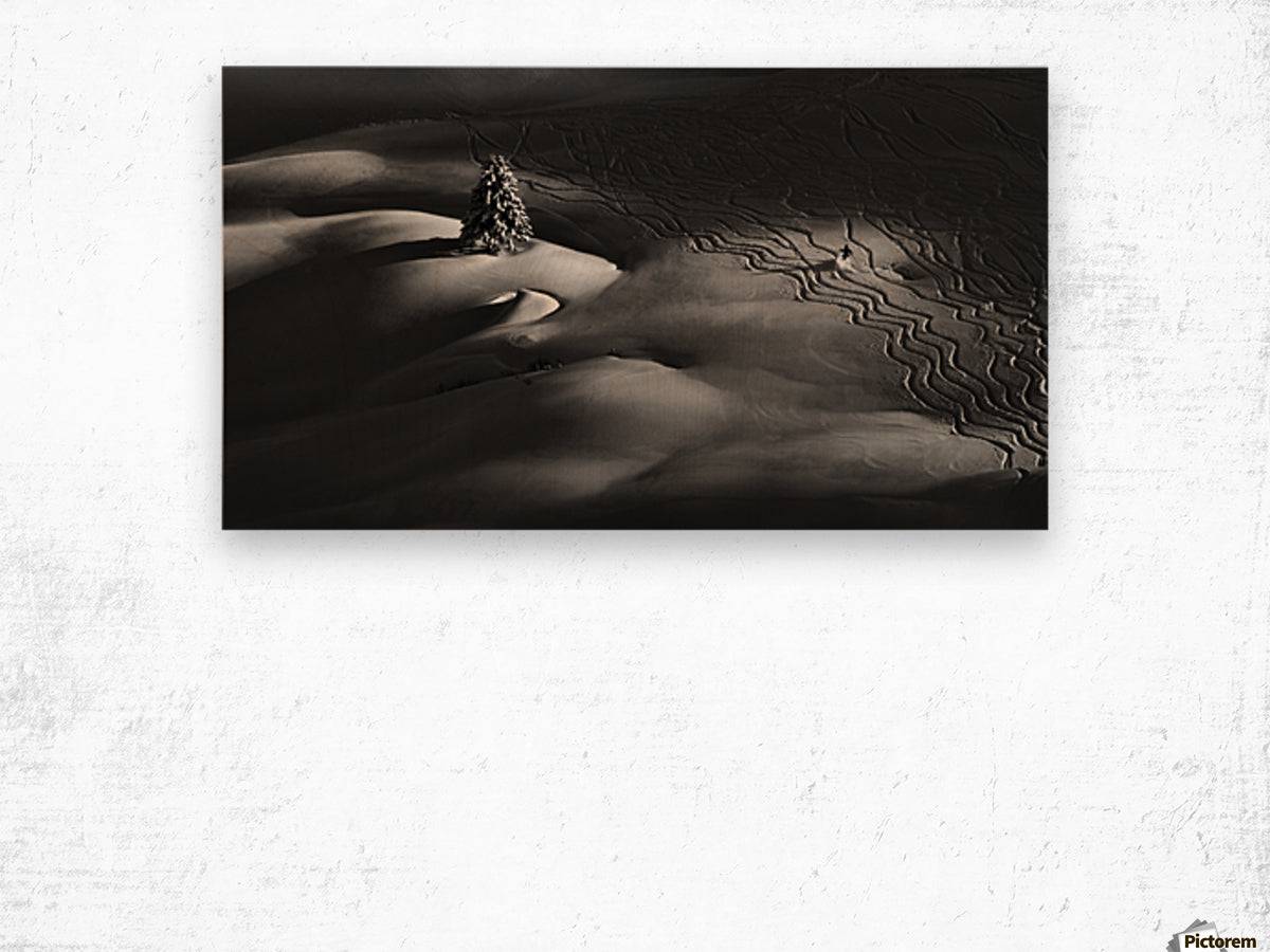 Passing by - Powderaddicts