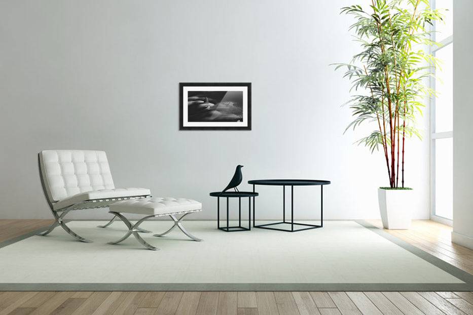 Passing by - Powderaddicts