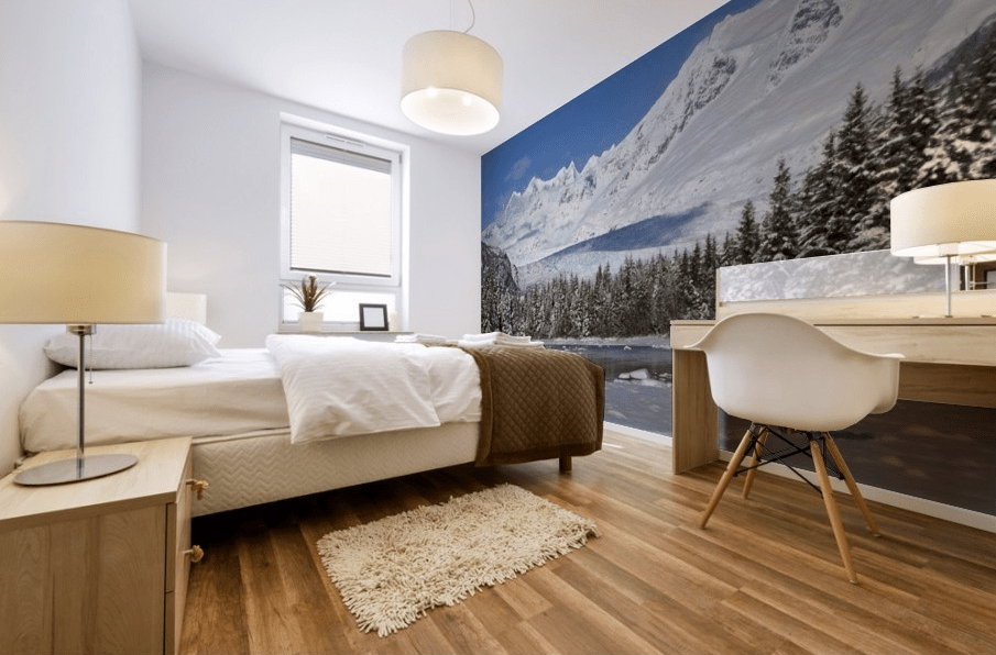 Person Cross-Country Skiing In A Winter - Powderaddicts