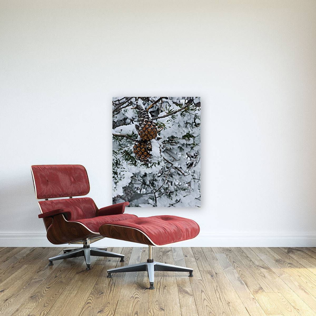 Pinecone - Powderaddicts