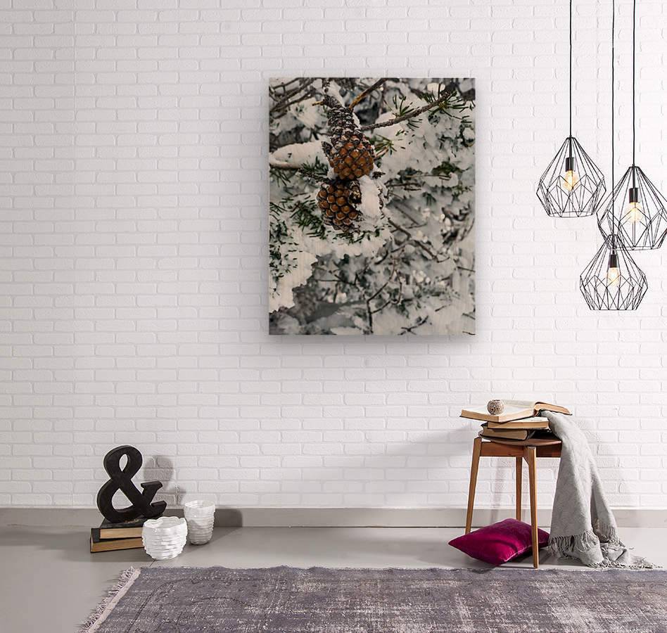 Pinecone - Powderaddicts