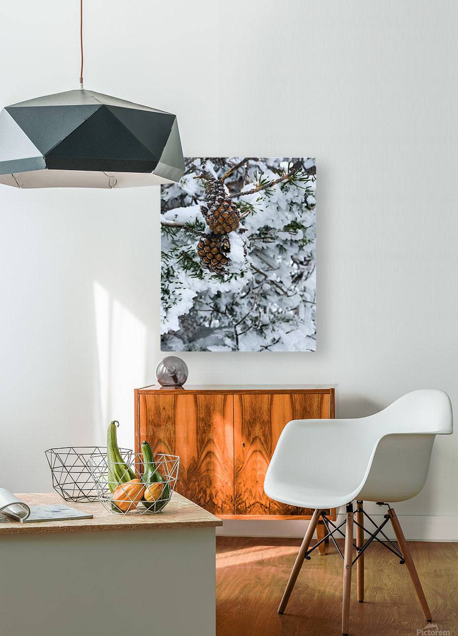 Pinecone - Powderaddicts