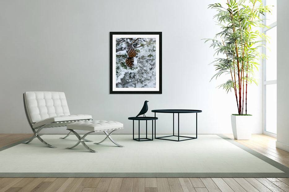 Pinecone - Powderaddicts