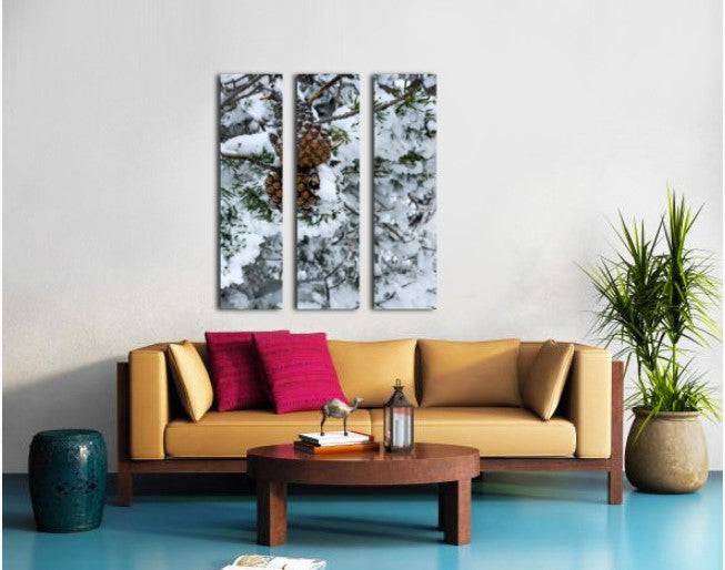 Pinecone - Powderaddicts