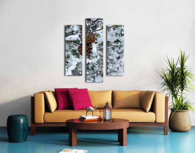 Pinecone - Powderaddicts