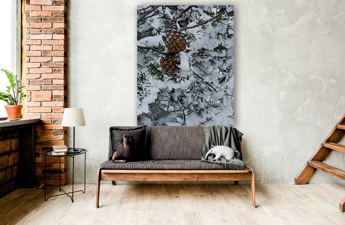 Pinecone - Powderaddicts