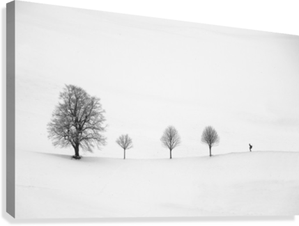 return as always - Powderaddicts