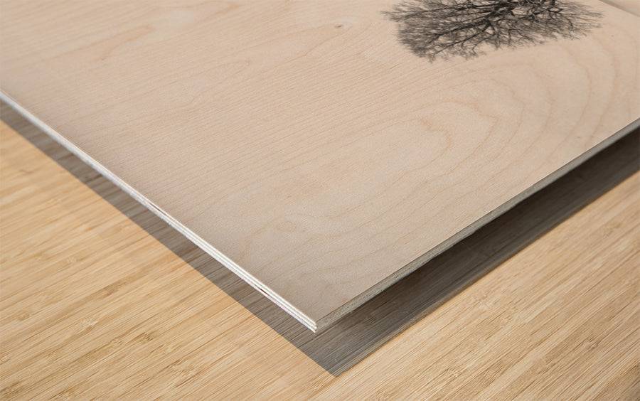 return as always - Powderaddicts