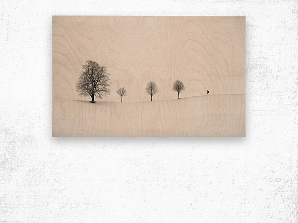 return as always - Powderaddicts