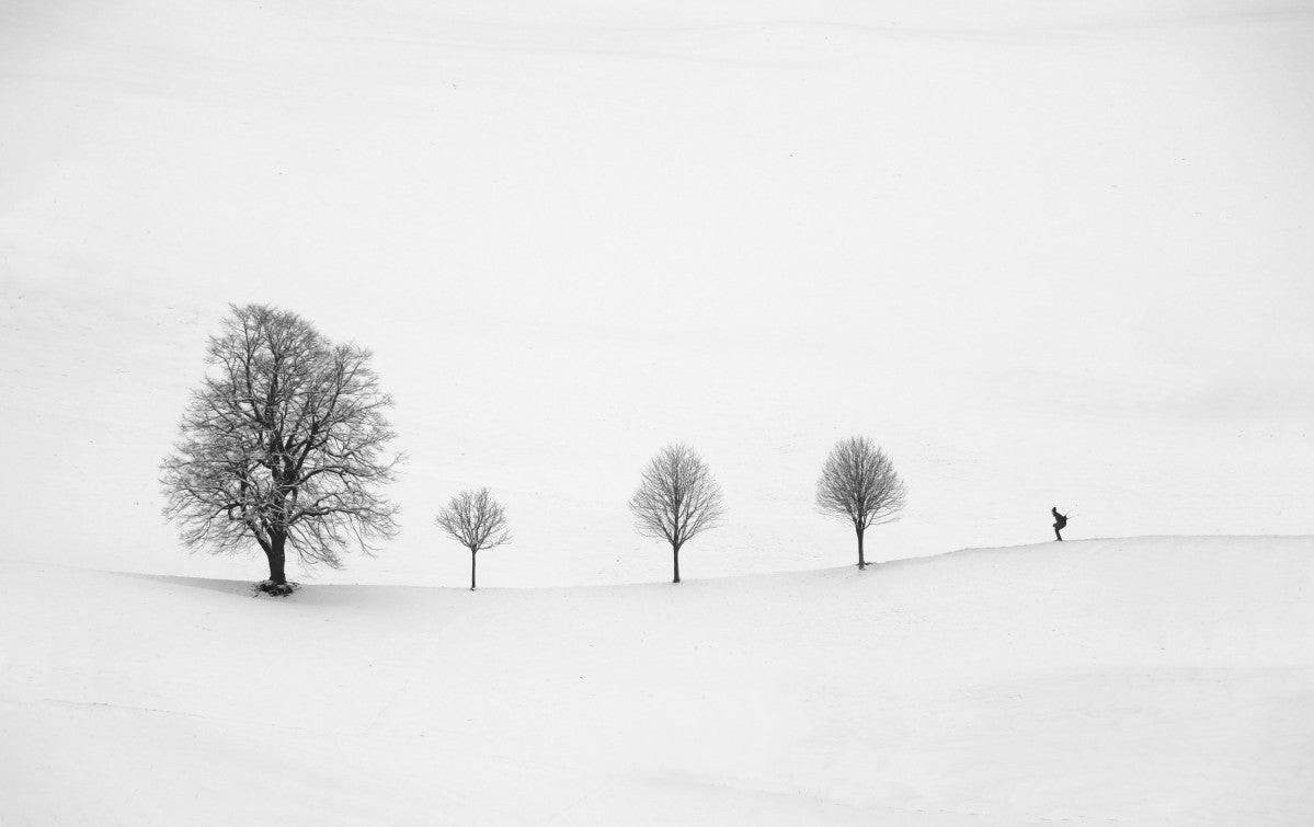 return as always - Powderaddicts