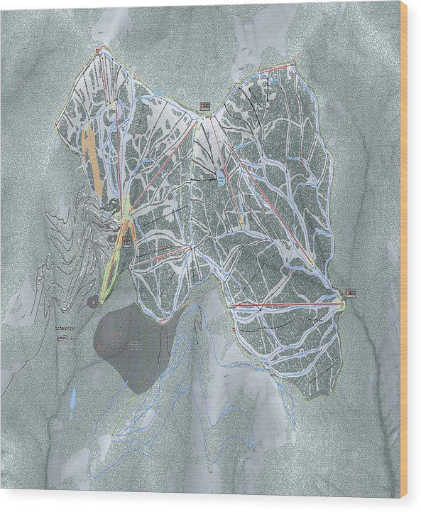Schweitzer Ski Trail Map - Wood Print - Powderaddicts