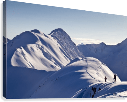 Skiers Skinning The Snow - Powderaddicts