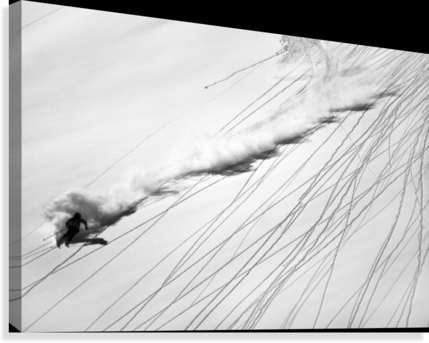 Skiing Powder - Powderaddicts