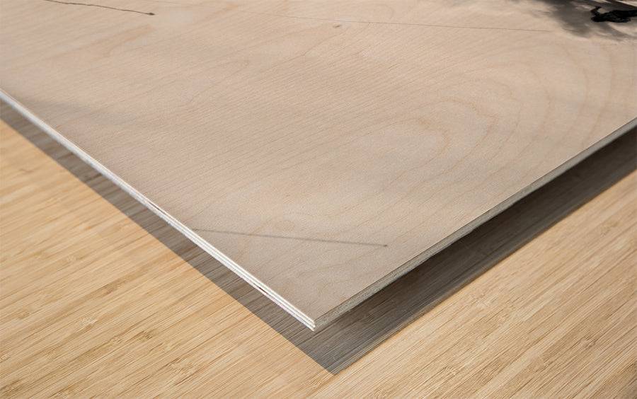 Skiing Powder - Powderaddicts