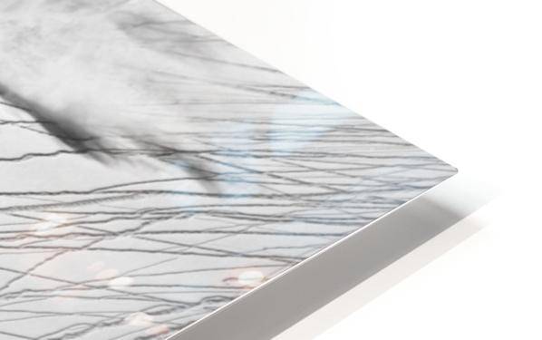 Skiing Powder - Powderaddicts