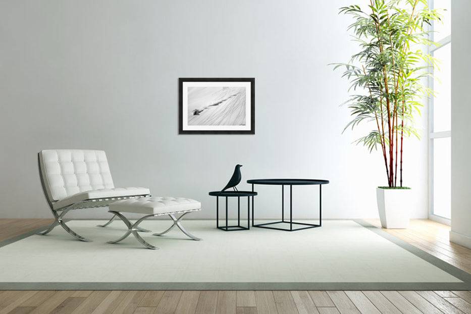 Skiing Powder - Powderaddicts