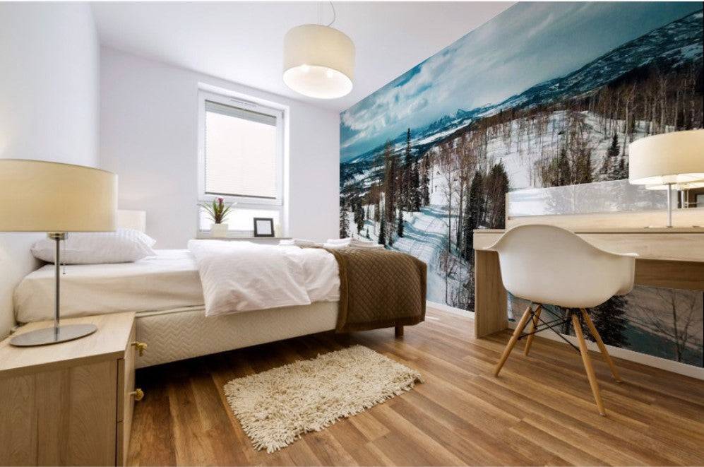 Sleeping Giant - Powderaddicts