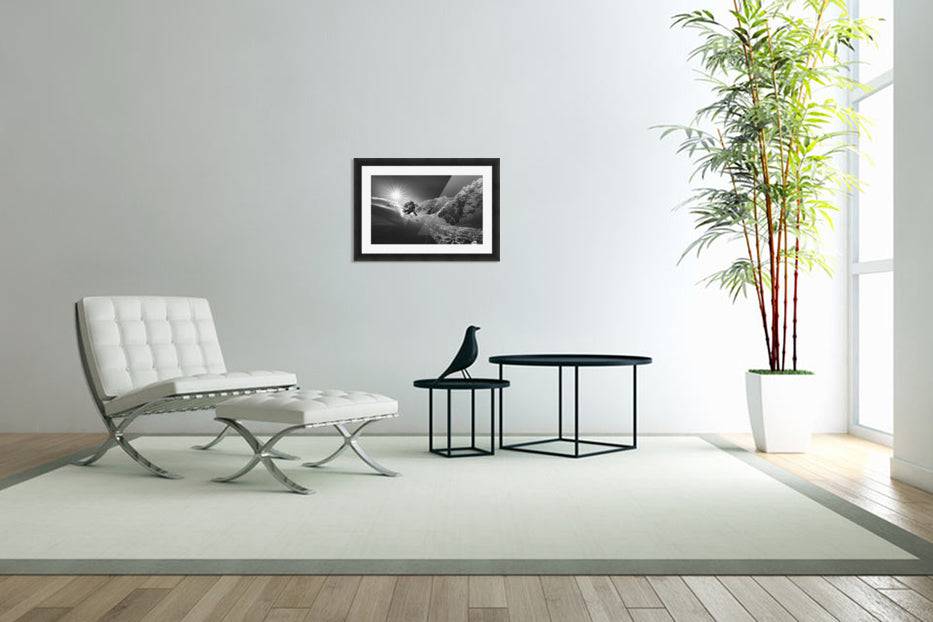 Snow splash over the edge - Powderaddicts