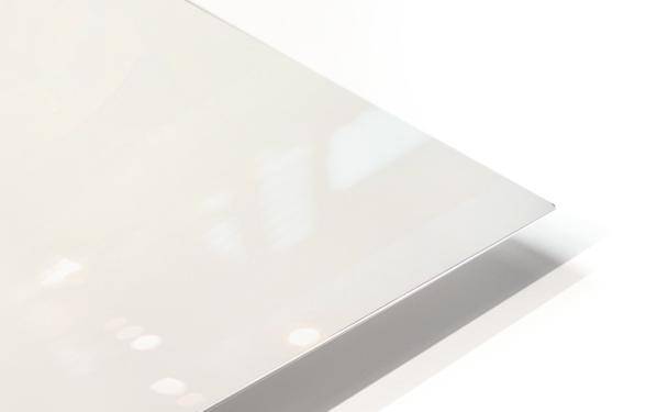 Snowboarder Crouching Down Low - Powderaddicts