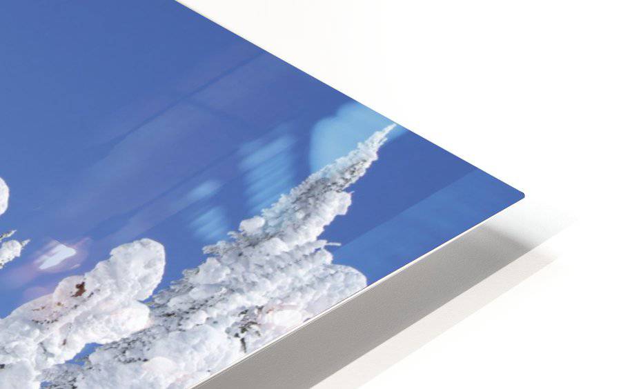 Snowboarder Going Down Snowy Hill - Powderaddicts