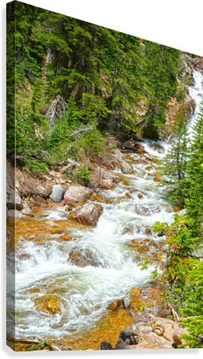 Spring Runoff Chipmunk - Colorado - Powderaddicts