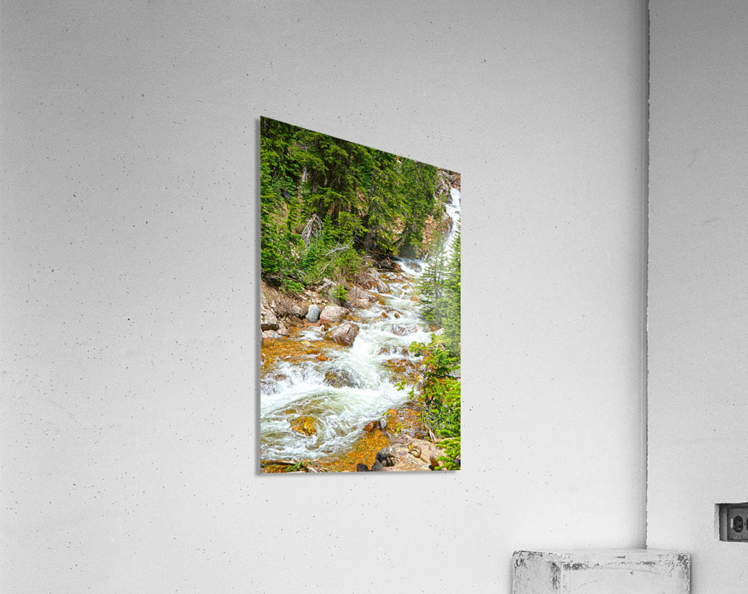 Spring Runoff Chipmunk - Colorado - Powderaddicts