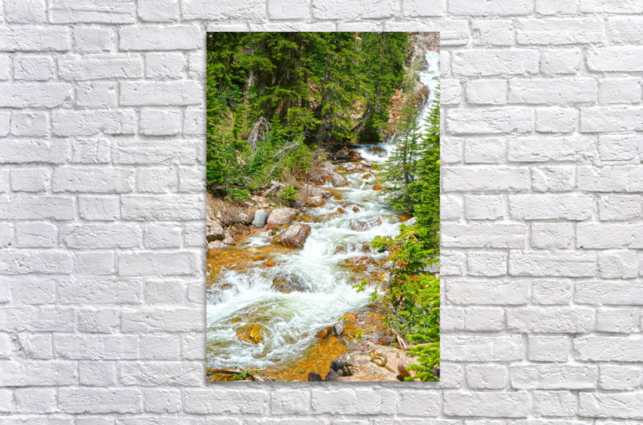 Spring Runoff Chipmunk - Colorado - Powderaddicts