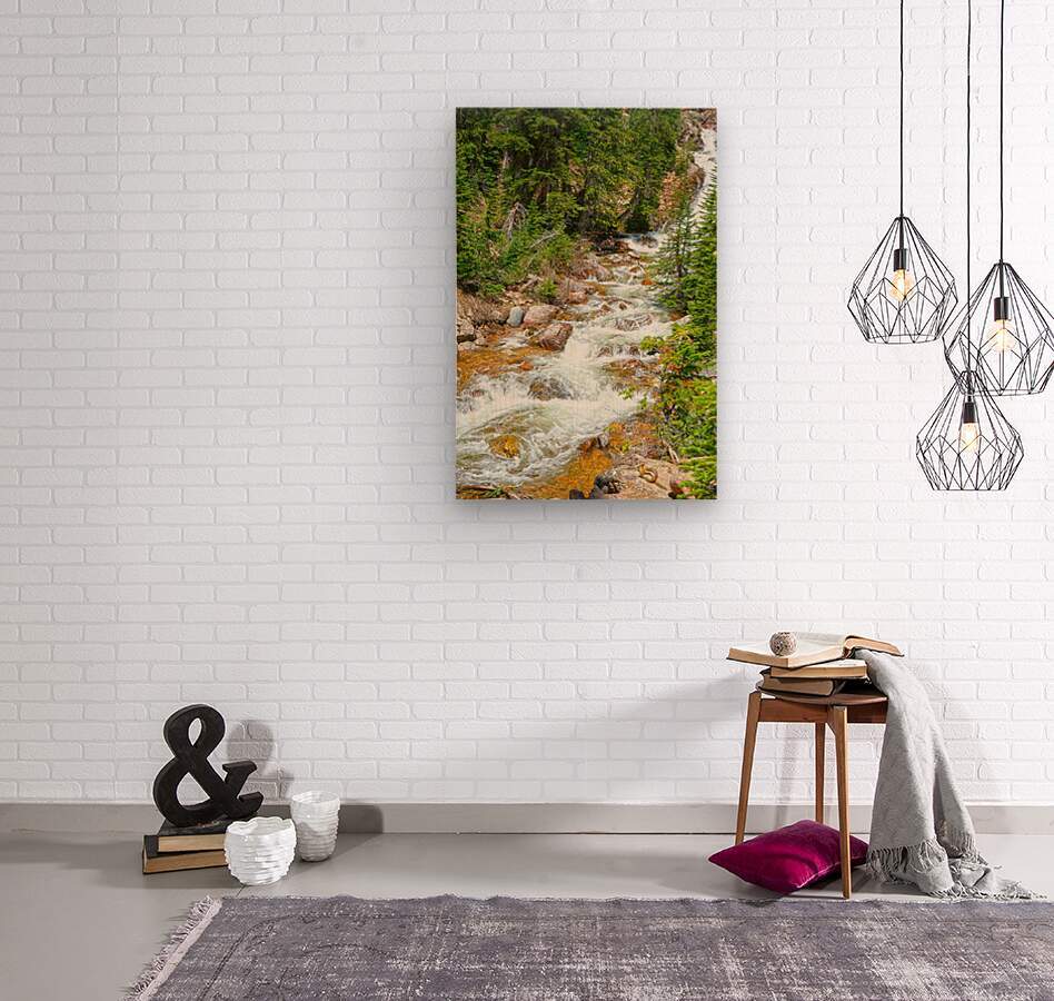 Spring Runoff Chipmunk - Colorado - Powderaddicts