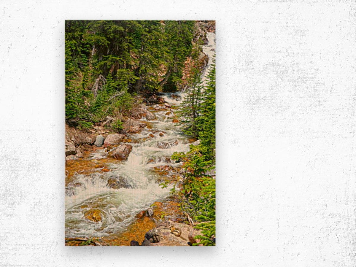 Spring Runoff Chipmunk - Colorado - Powderaddicts
