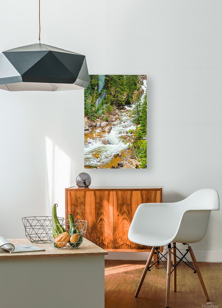 Spring Runoff Chipmunk - Colorado - Powderaddicts