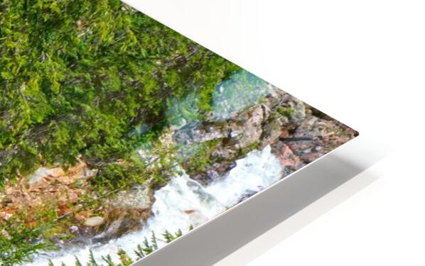 Spring Runoff Chipmunk - Colorado - Powderaddicts