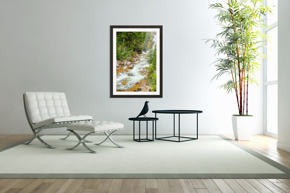 Spring Runoff Chipmunk - Colorado - Powderaddicts