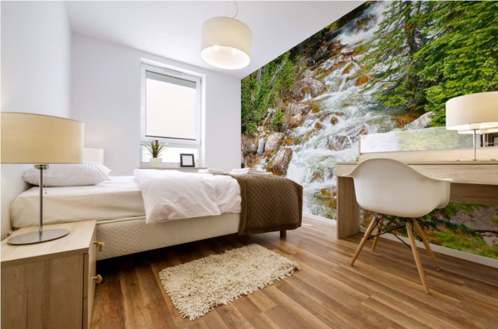 Spring Runoff Chipmunk - Colorado - Powderaddicts