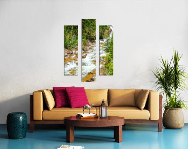 Spring Runoff Chipmunk - Colorado - Powderaddicts