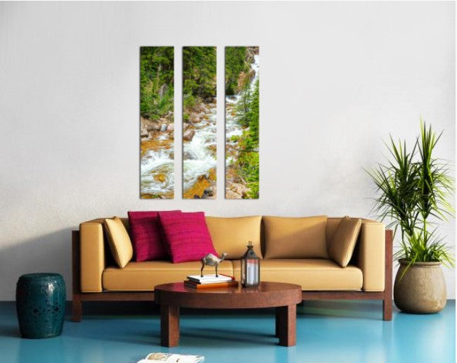 Spring Runoff Chipmunk - Colorado - Powderaddicts