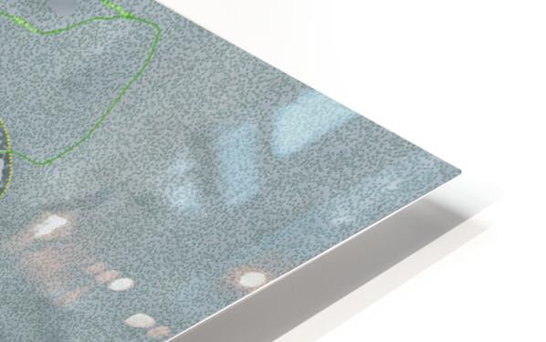 HD Sublimation Metal Print