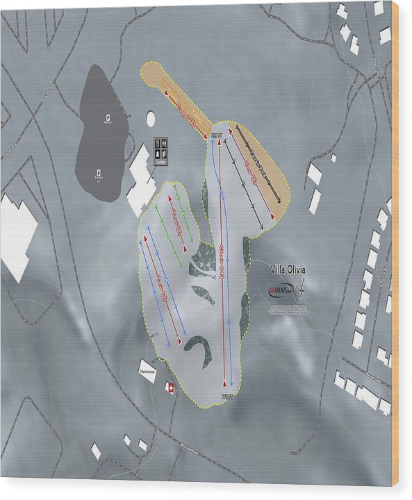 Villa Olivia Ski Trail Map - Wood Print - Powderaddicts