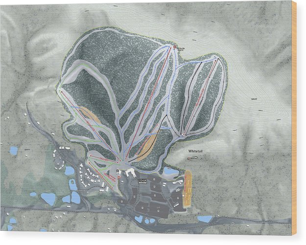 Whitetail Ski Trail Map - Wood Print - Powderaddicts