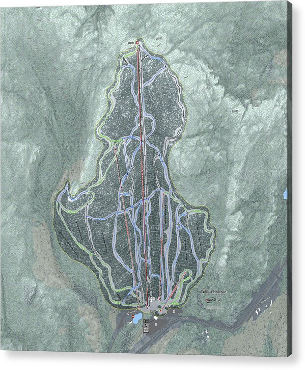 Wildcat Mountain Ski Trail Map  - Acrylic Print - Powderaddicts